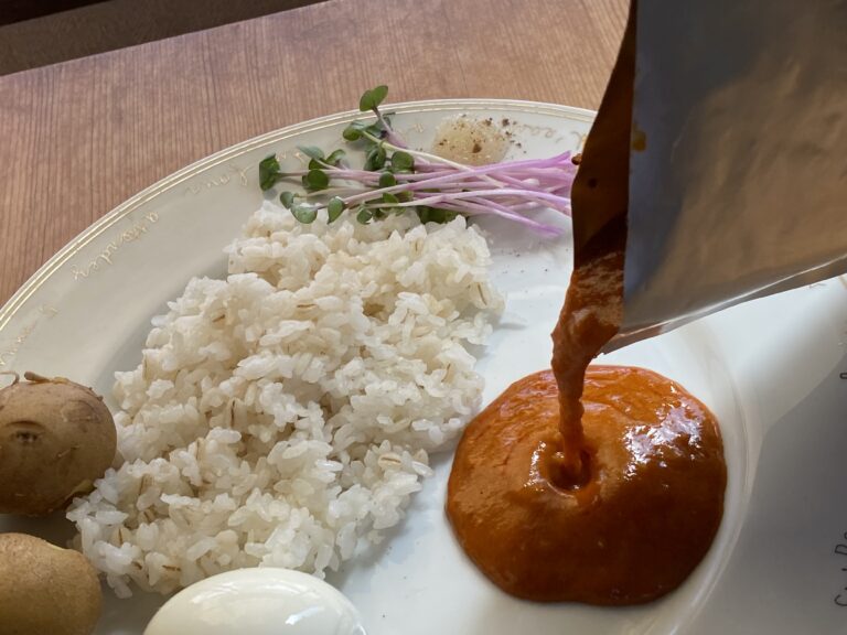 エレキソルトと休塩日のカレーセット