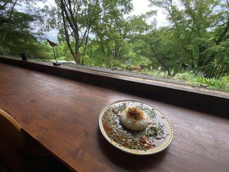 カレーです カレーですよ4585（レトルト ネゴンボ33 ラムキーマカレー）600